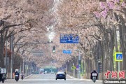 昌都共建“花园城市” 北京这场议政会“百花齐放”