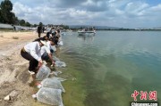 昌都云南江川举行增殖放流活动 逾54万尾鱼游入星云湖